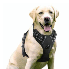Rabbitgoo No Choke Vest
