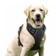 Auroth Dog Harness - Tactical & Training Reflect Harness Gray / Small