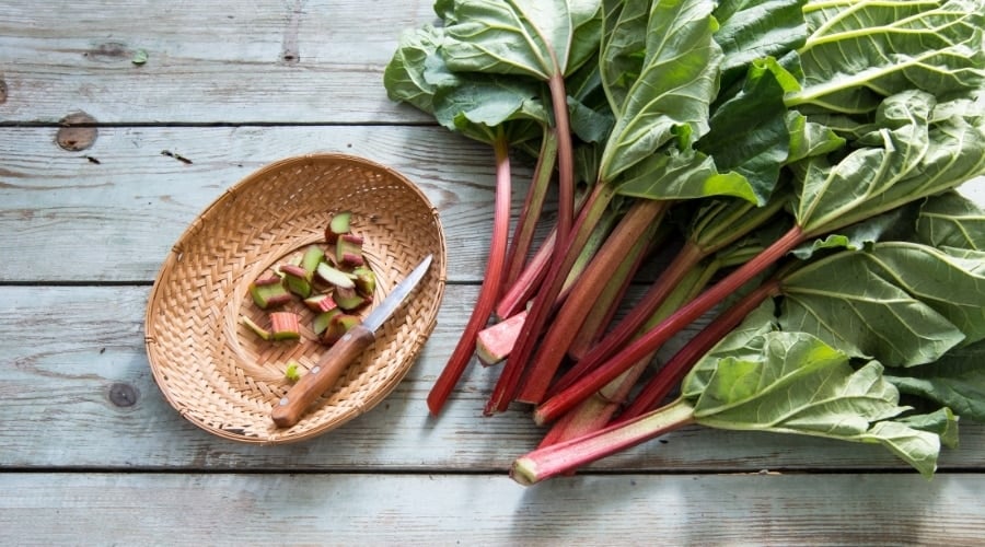 Red Stalk Vegetable
