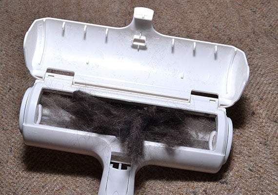 Removing dog hair from collection bin of chomchom roller pet hair remover