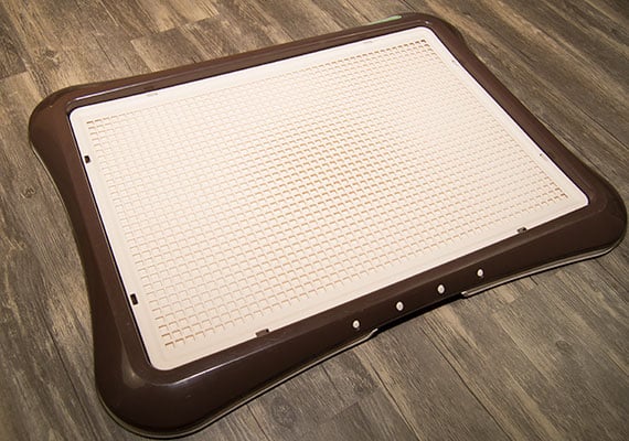 Richell Paw Trax Mesh Training Tray on wooden floor