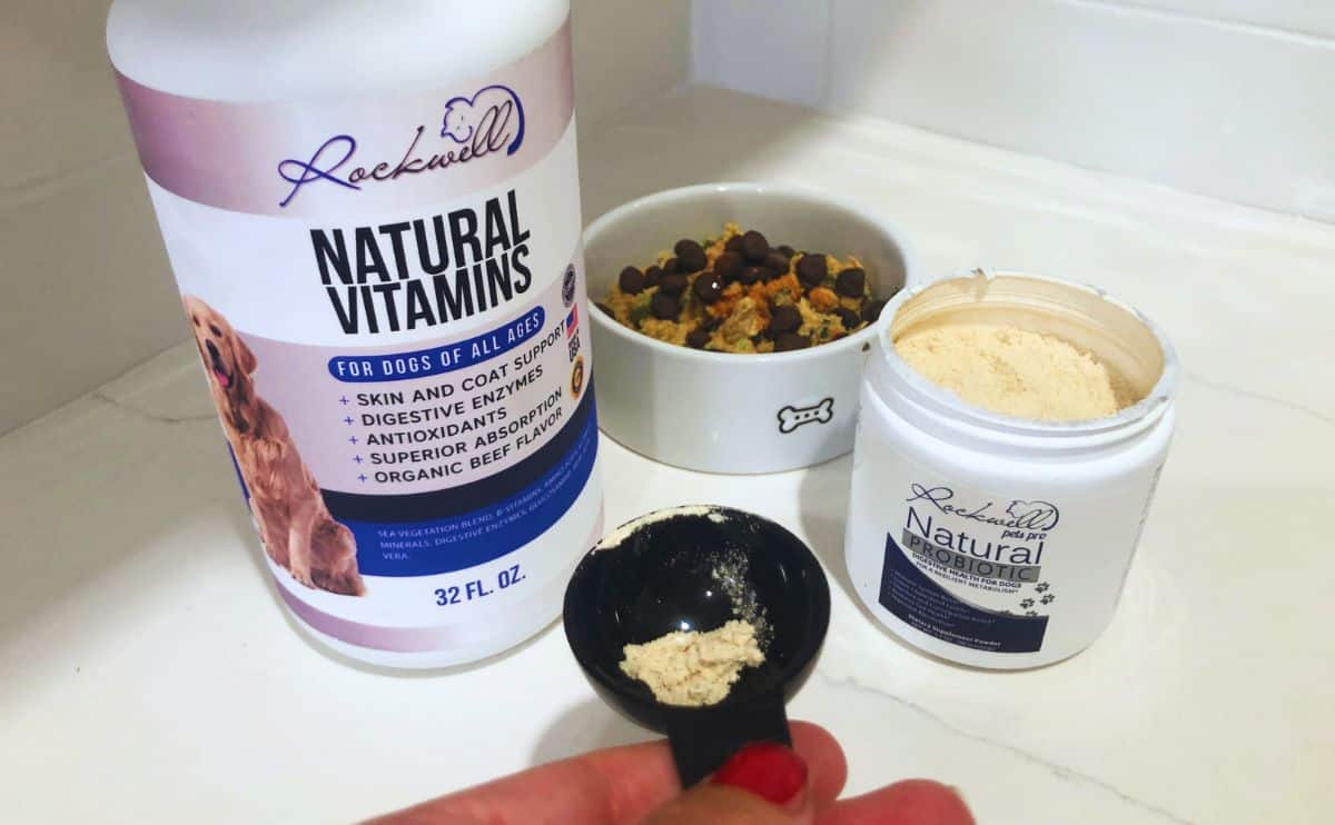 Rockwell Pets Natural Vitamins scoop over dog food,