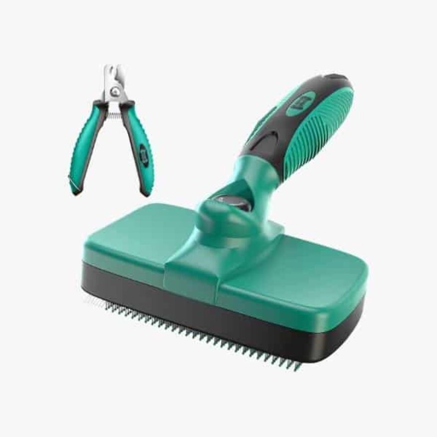 Best Brushes For Labrador Retrievers Canine Journal