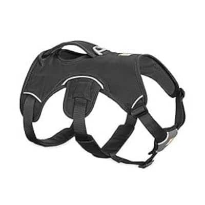 Ruffwear Web Master Harness