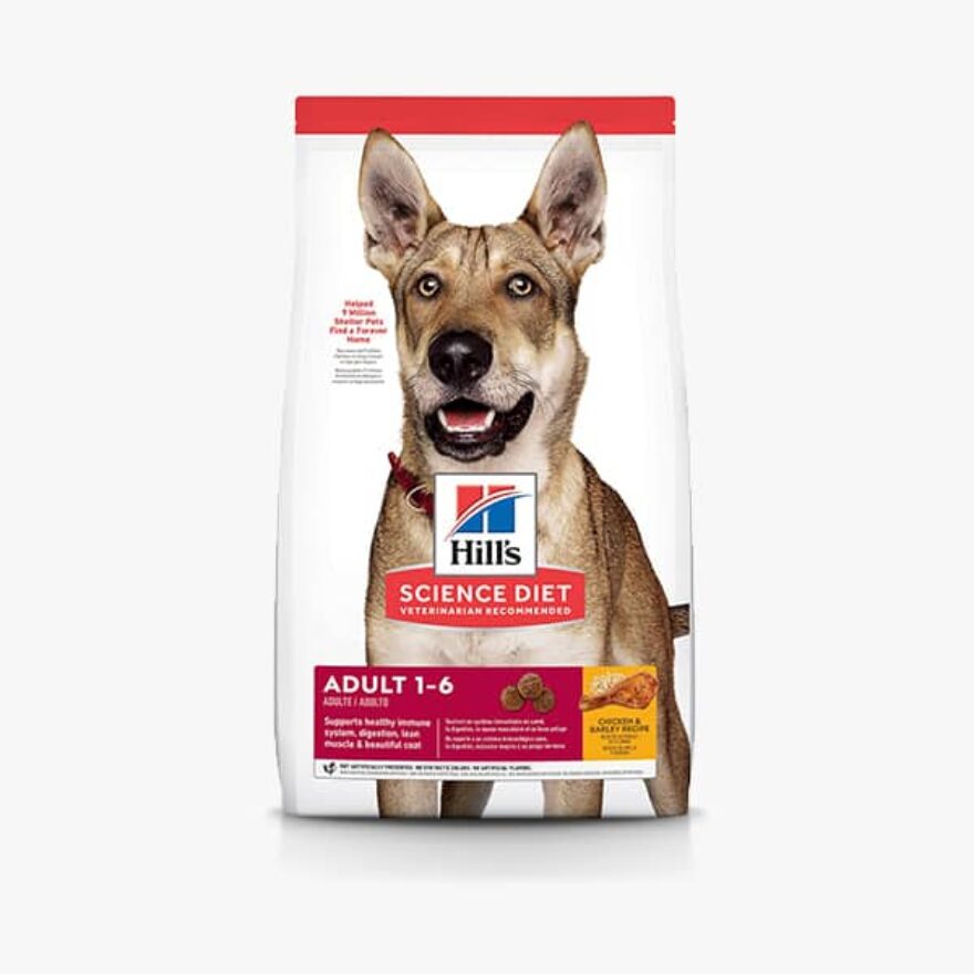 Nutro vs. Science Diet Which Brand Makes Better Dog Food? Canine Journal