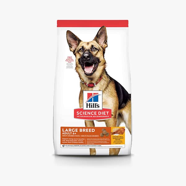 Hill’s Science Diet Large Breed Senior 