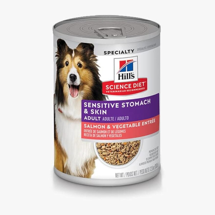 Best Canned Dog Food For Sensitive Stomachs, GrainFree & More Canine