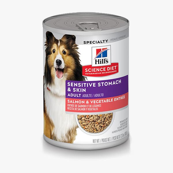 Hill's Science Diet Sensitive Stomach & Skin Adult Salmon & Vegetable Entree Canned Food