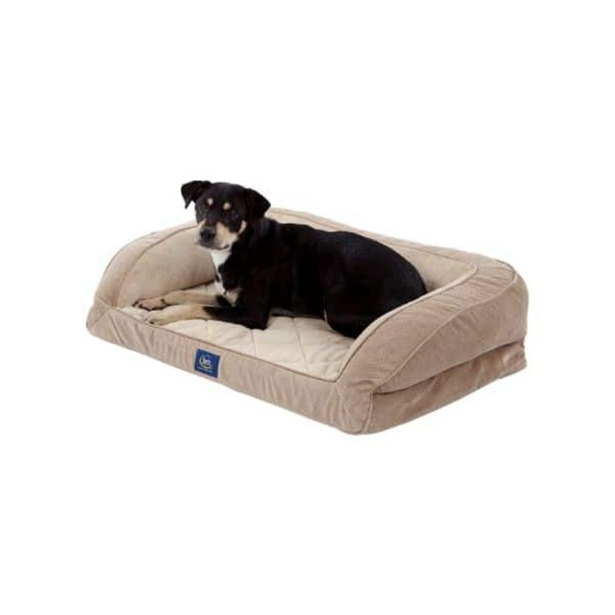 Best Dog Beds For English Bulldogs Canine Journal