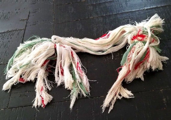 Shredded rope toy that has untwisted into individual strings