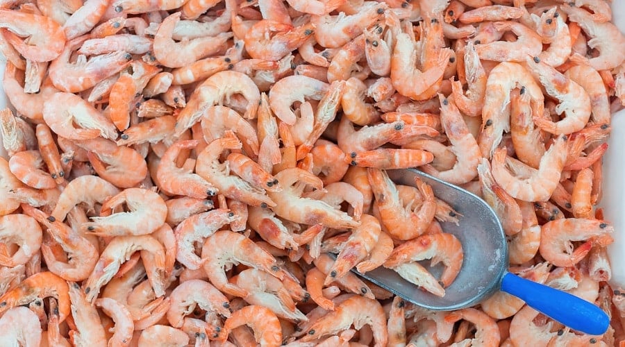 Shrimp Parts