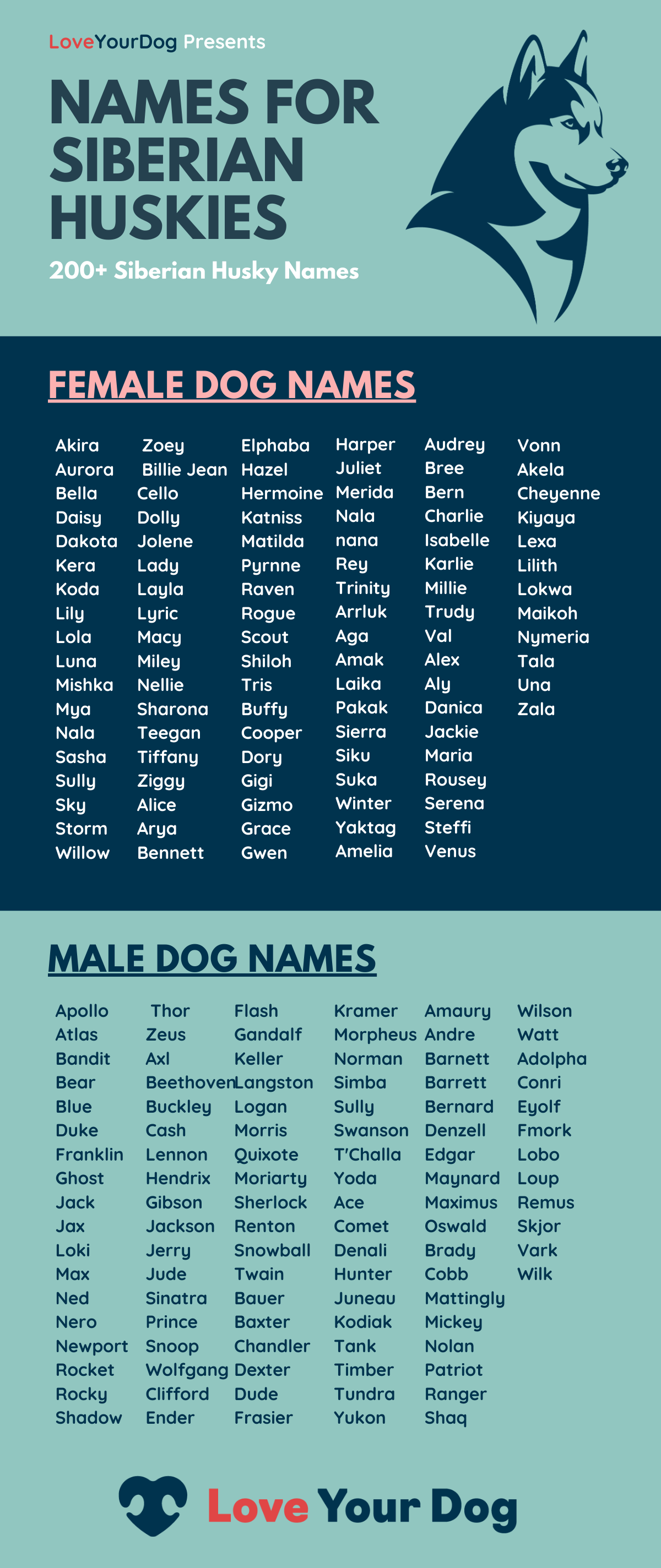 Siberian Husky Dog Names Infographic
