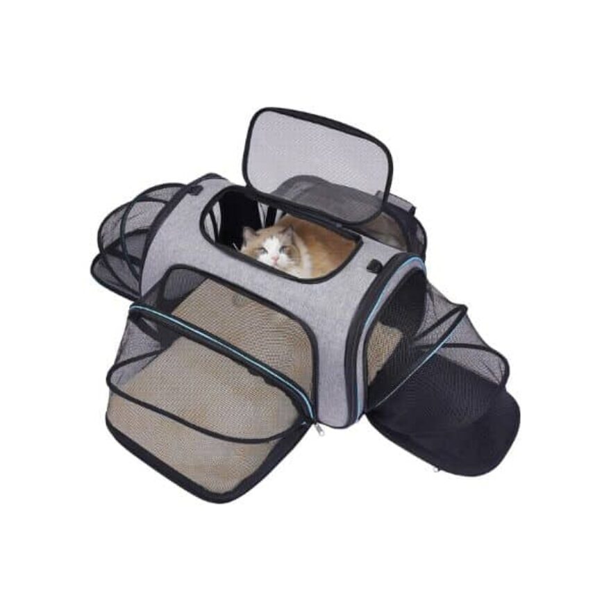 Best Airline Approved Pet Carriers For InCabin Flights Canine Journal