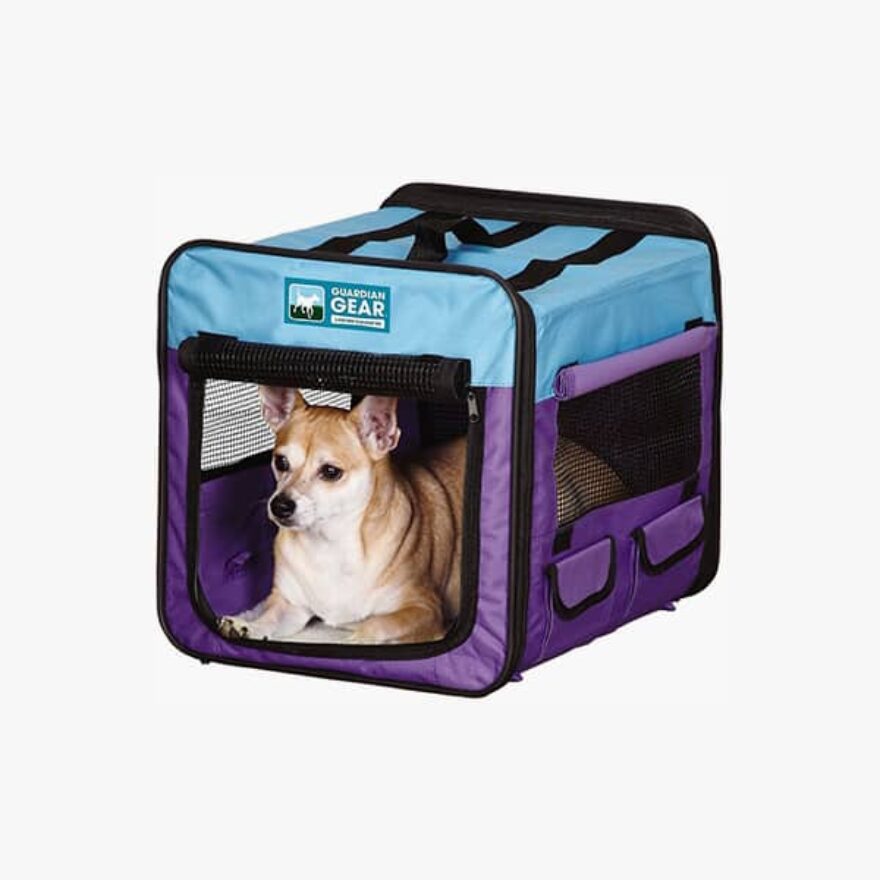 Best Dog Crates For Chihuahuas Ratings, Reviews, & Crate Sizes Canine Journal