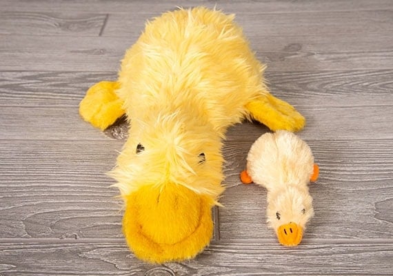 Small and large duckworth duck dog plush toy compared side by side