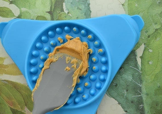 Smearing peanut butter into bumpy textured lick mat for dogs