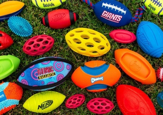 Some of the different dog footballs we tested and reviewed sitting on grass