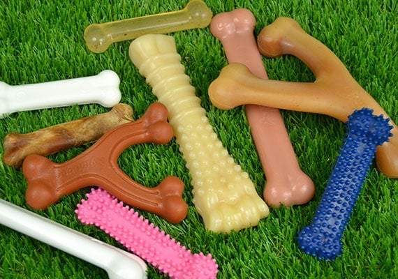 Some of the different nylon chew toys we tested and reviewed from Benebone and Nylabone