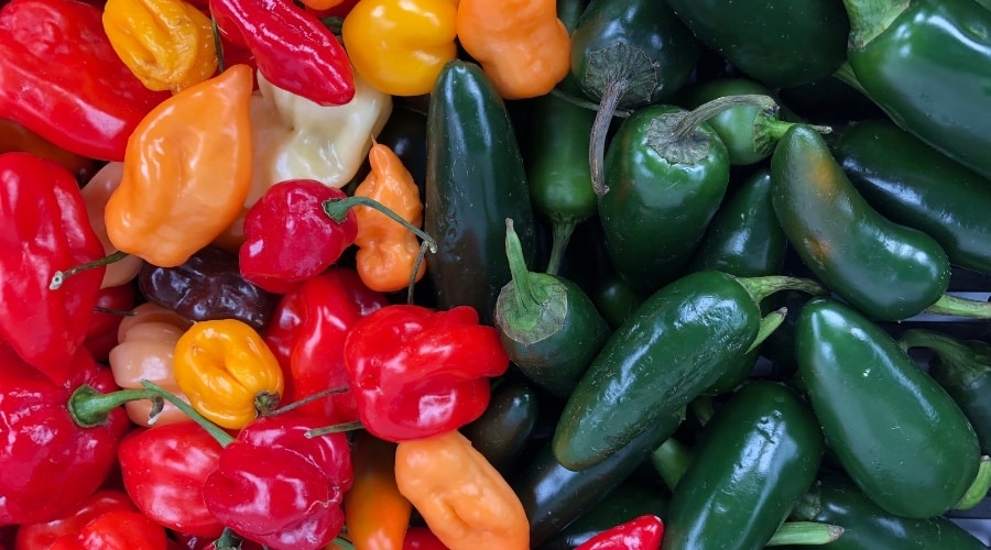 Spicy Mexican Peppers