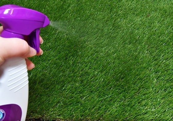 Spraying PoochPad Potty Training Attractant Spray on grass pad.