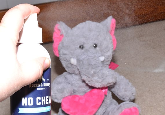 Spraying plush toy with anti-chew spray bottle to stop dog biting it