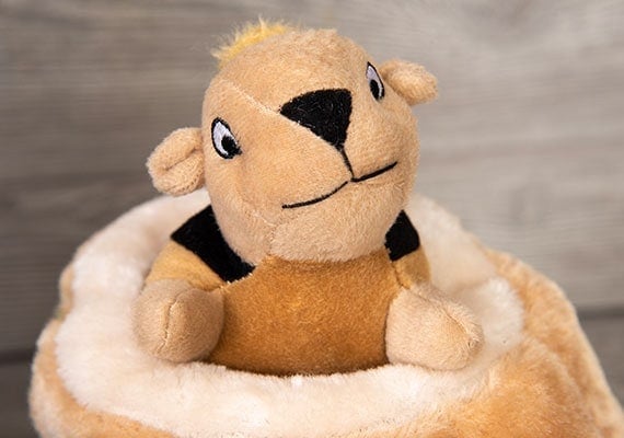 Squirrel plush toy sticking out of hide-a-squirrel log for dogs