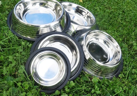 Stainless steel dog bowls with non-slip rubber bases