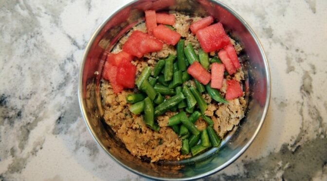 Ran Out Of Dog Food? What You Can Safely Feed Your Dog Tonight - Canine
