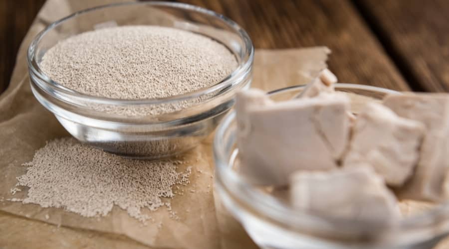 Bowl of yeast.