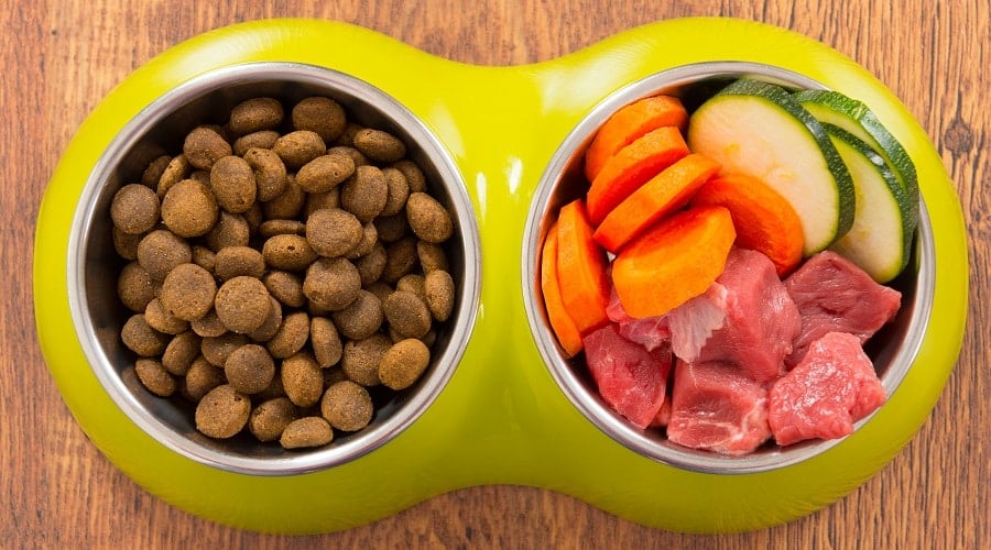 Sweet Potatoes Good For Dogs