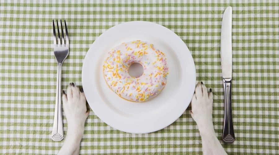 Sweet With Sprinkles on a Plate
