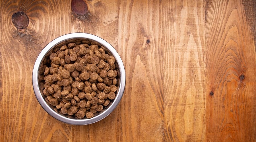 Taste of the Wild Dog Food in Bowl