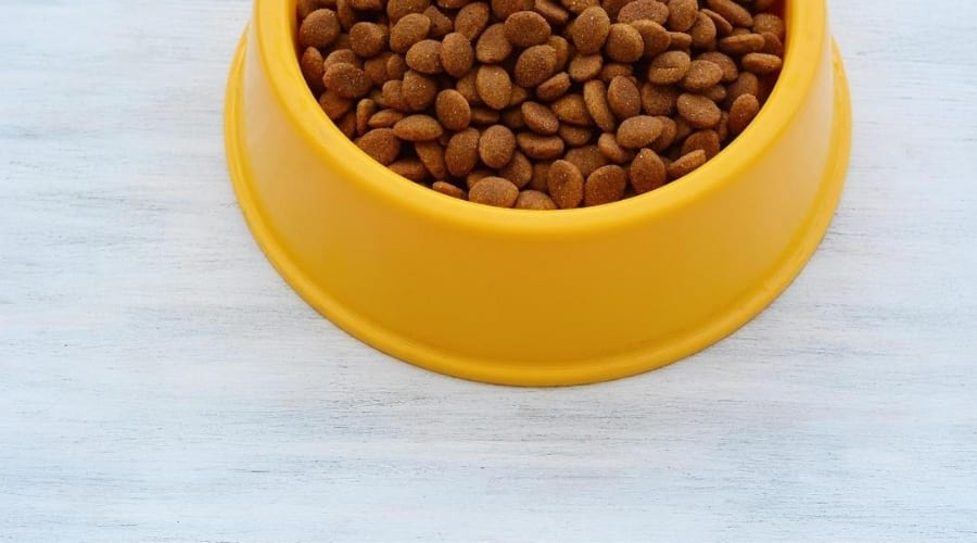 Taste of the Wild Food in Bowls