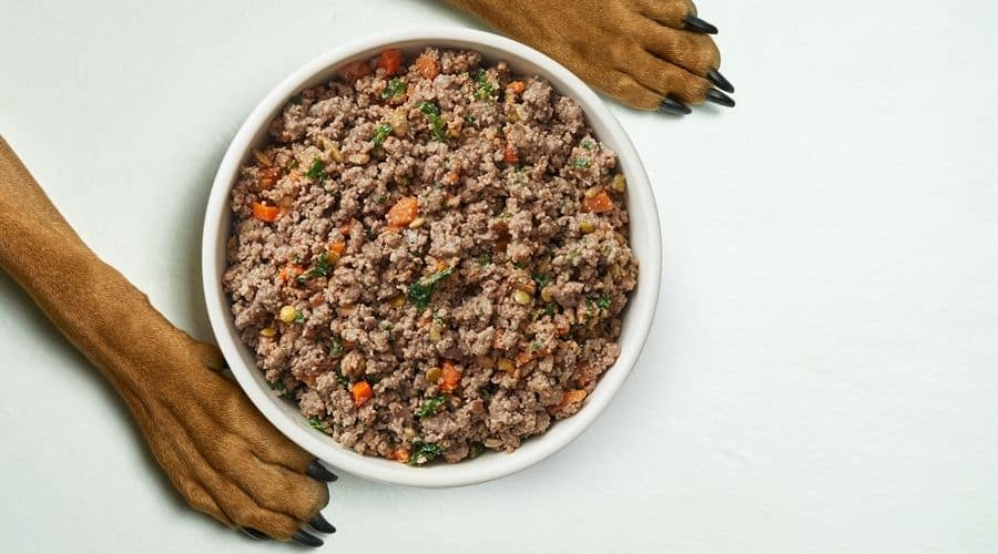 The Farmer's Dog bowl of food with puppy paws.