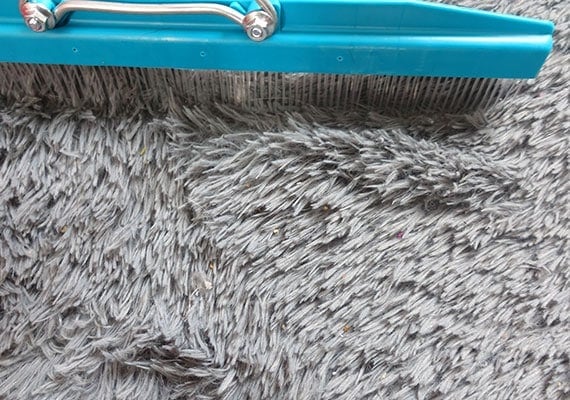 The Grandi Groom removing dog hair and crumbs from shaggy carpet