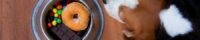 Bowl of sugary foods in a dog bowl with a dog looking at it.
