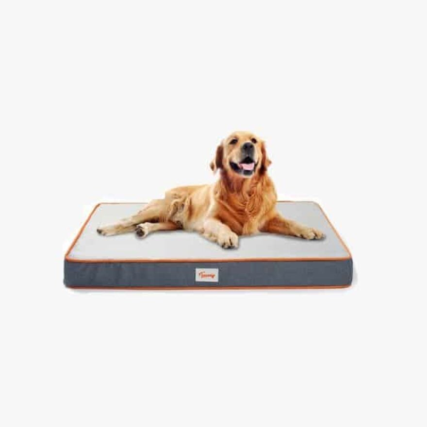 View of Best Dog Beds For French Bulldogs | Canine Journal