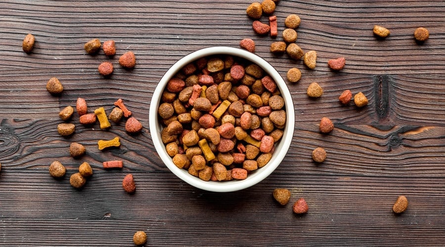 Top Puppy Foods For Large Breeds