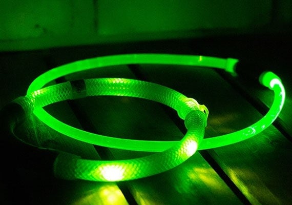 Two green LED dog necklace collars glowing in the dark