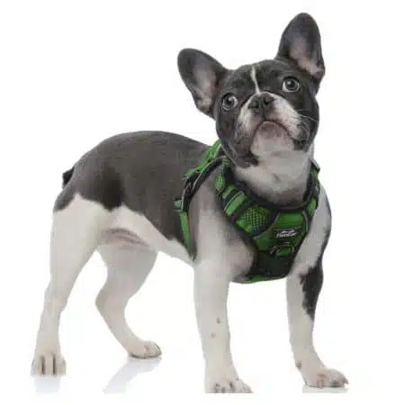 Auroth Dog Harness - Tactical & Training Reflect Harness Gray / Small