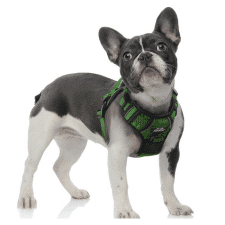 TwoEar No Pull Reflective