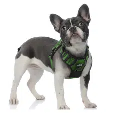 TwoEar No Pull Reflective