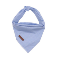 10 Best Dog Bandanas: Cute, Stylish, Funny, Cooling & More For Dogs Of