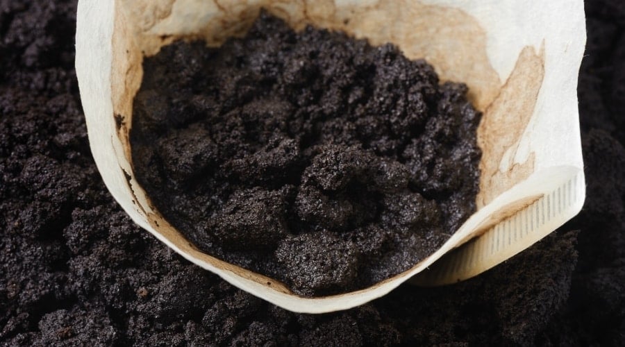 Used Coffee in Filter