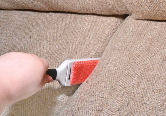 Using Oxo FurLifter furniture brish to remove pet hair in gap between couch cushions