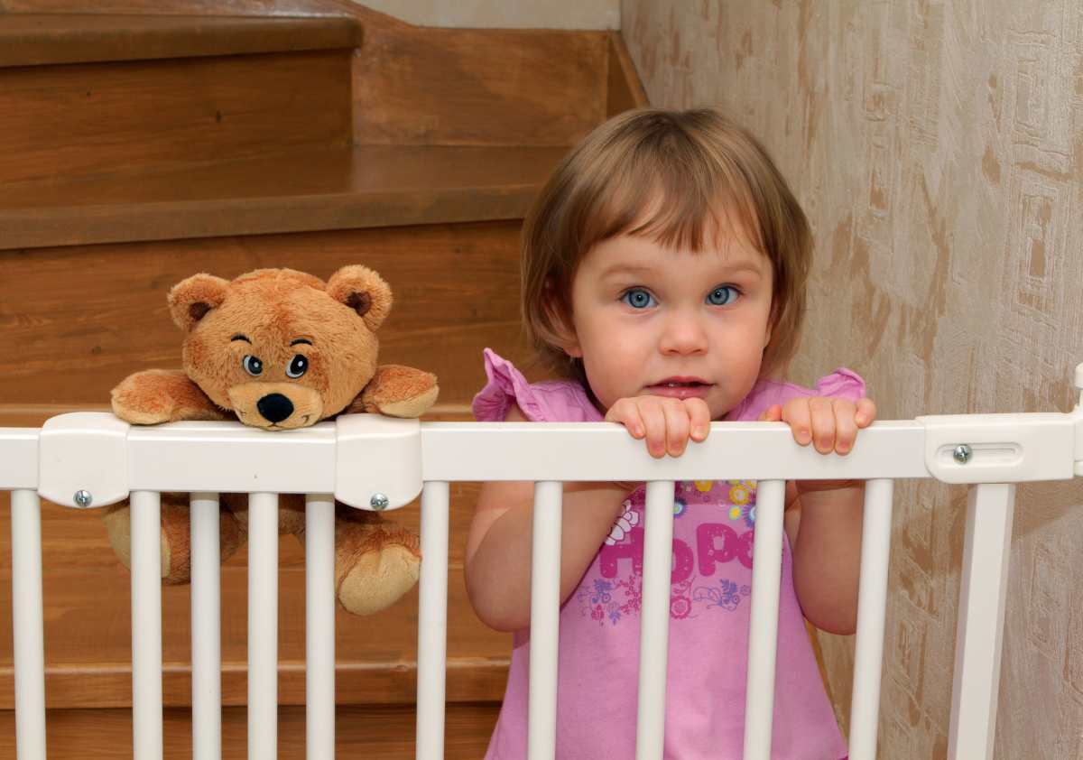 How to Introduce Dogs and Newborns Dog and baby gate.