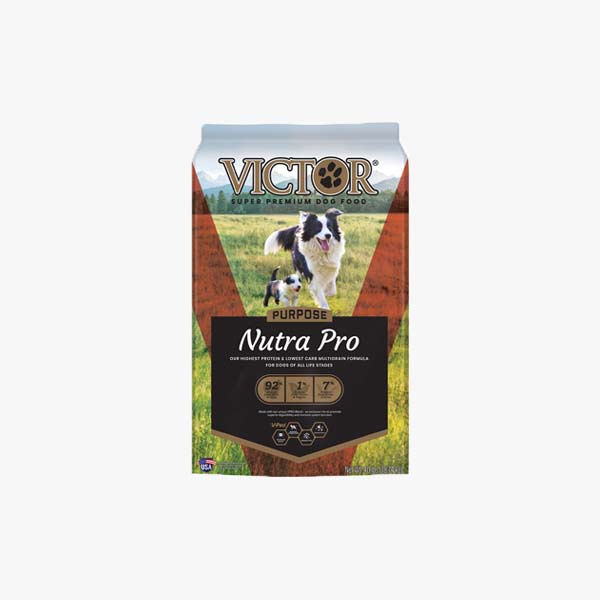 Purina Pro Plan Adult 7+ Shredded Blend Chicken & Rice