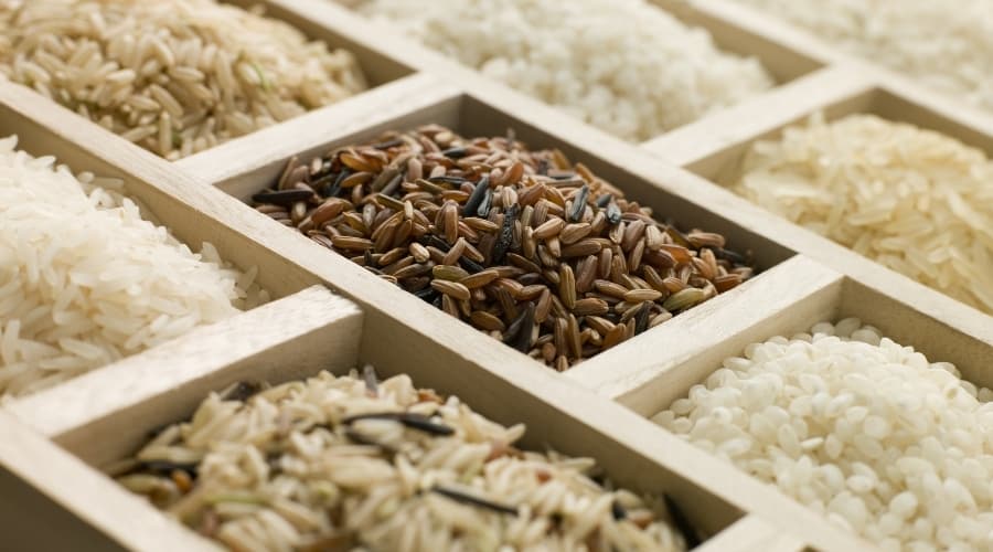 Various types of grains.