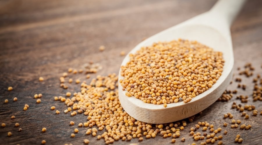 Spoon of mustard seeds.