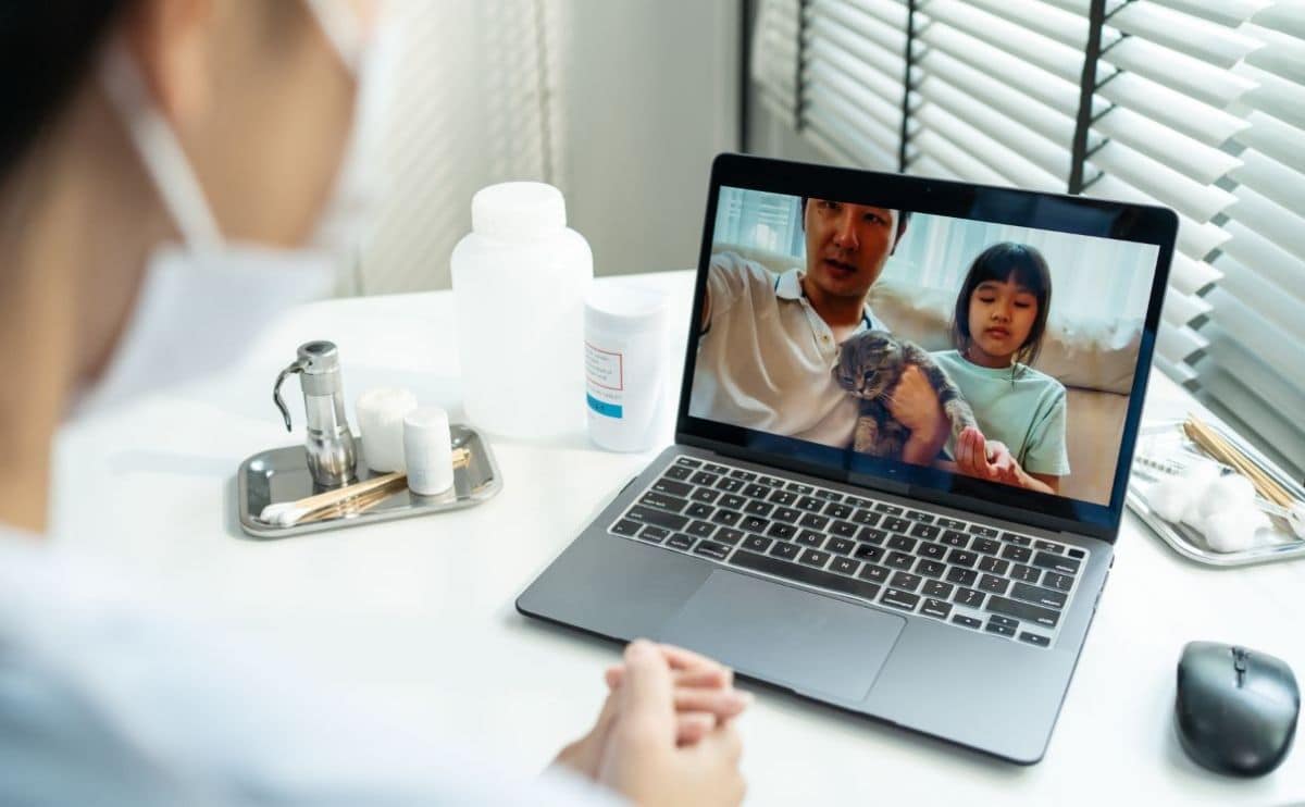 Vet chatting virtually with a pet parent at home on a computer